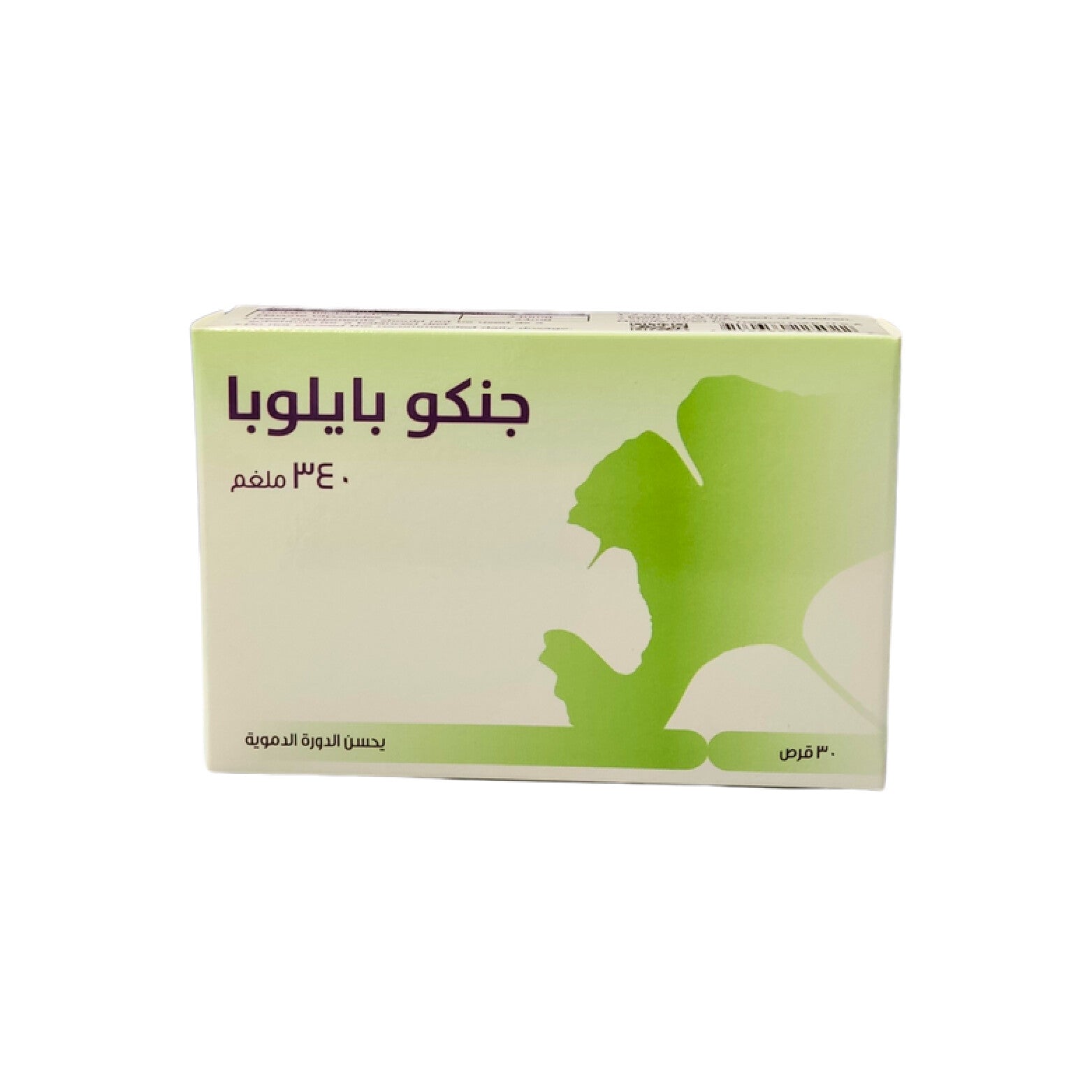 GINKGO BILOBA 340mg - 30 Tabs â€“ Natural Brain Health Booster