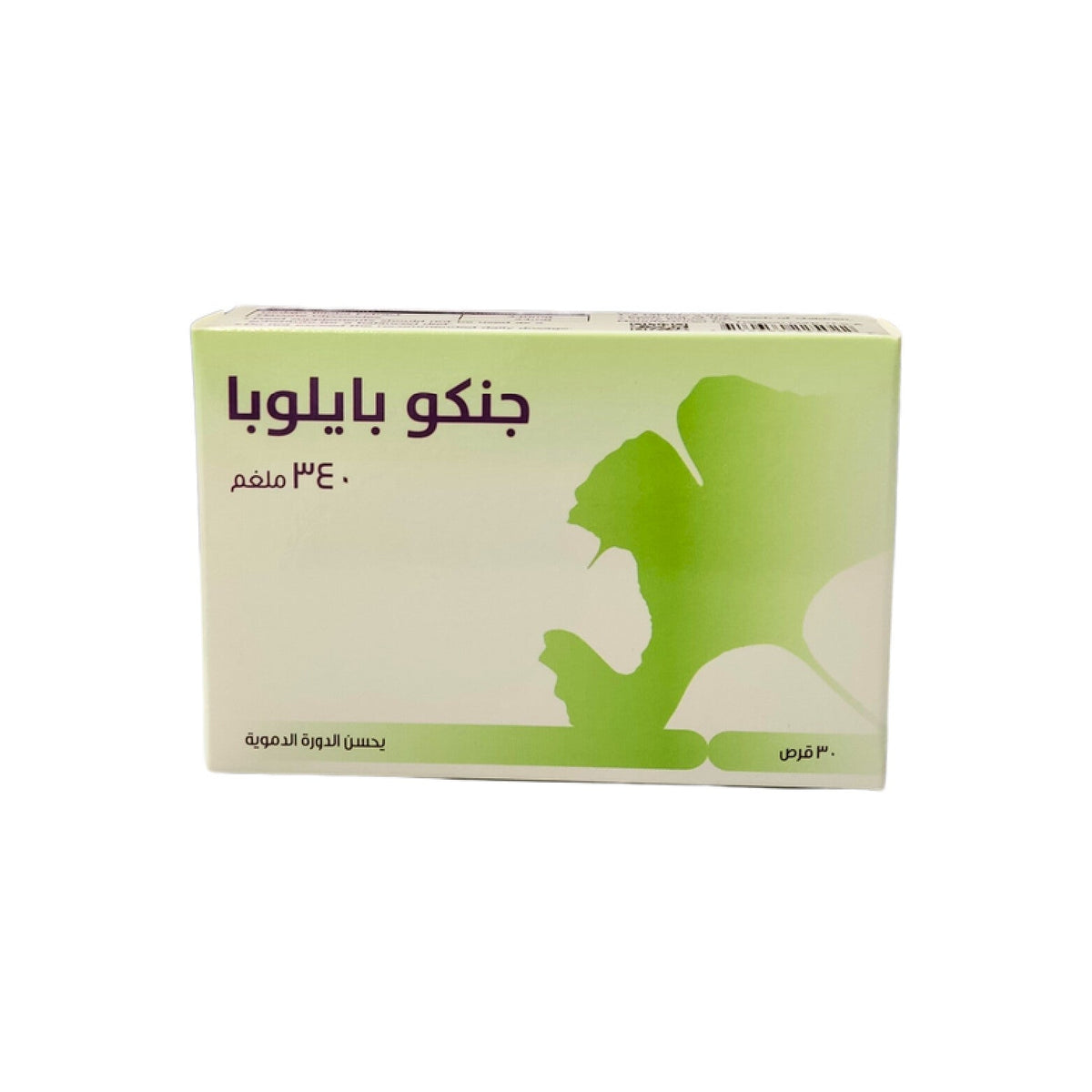 GINKGO BILOBA 340mg - 30 Tabs â€“ Natural Brain Health Booster