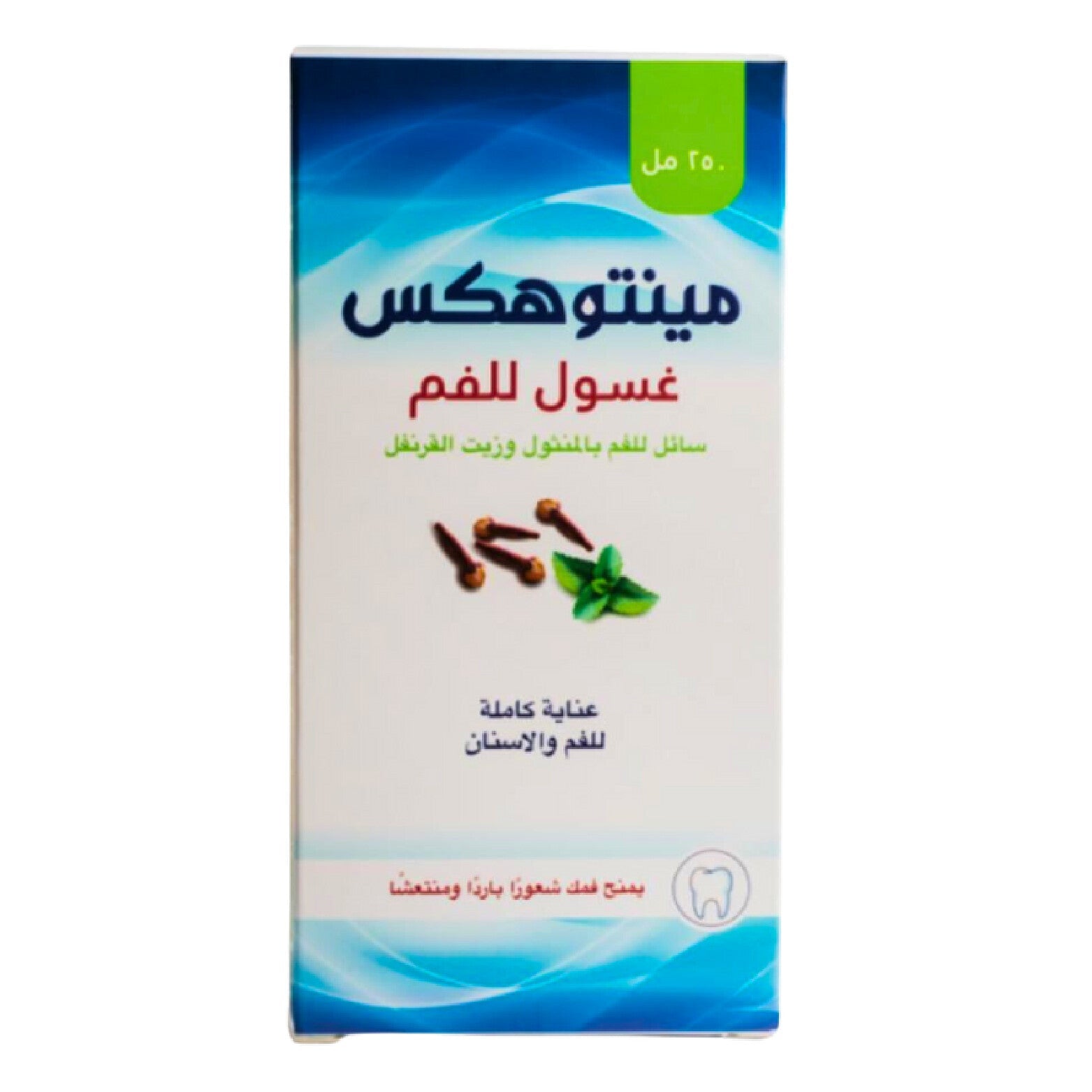 MENTOHEX Mouth Wash 250 ML