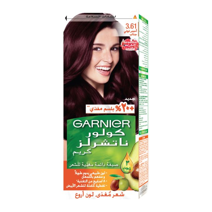 GARNIER NATURALS NO 3.61