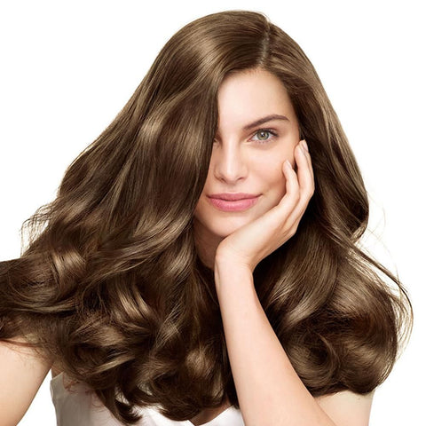 GARNIER NATURALS NO 6 DARK BLOND